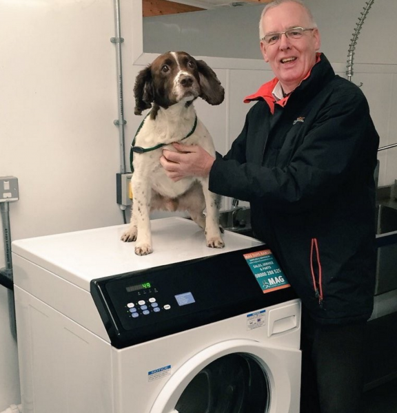 washing machine for dogs