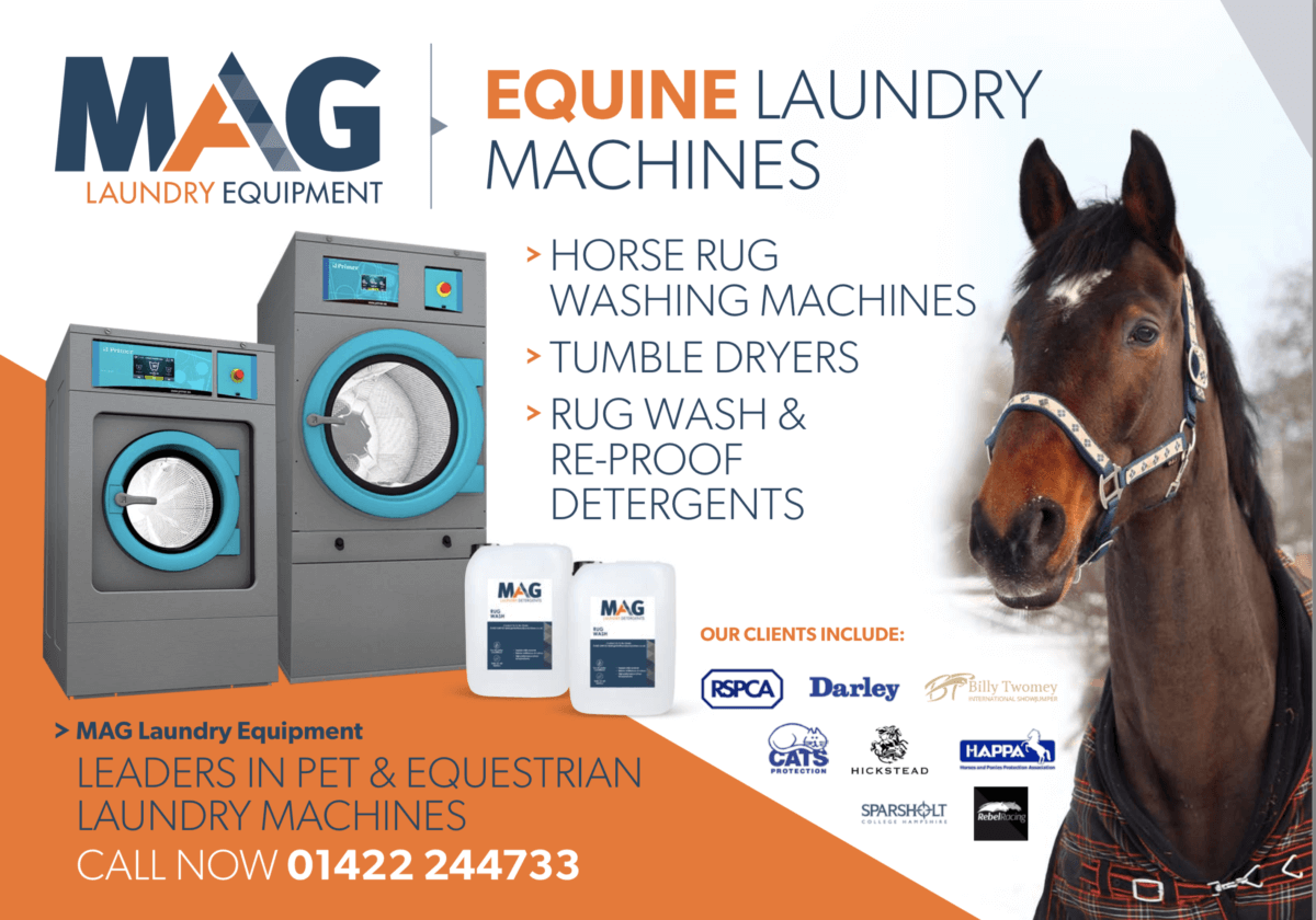 horse rug commercial washing machine business